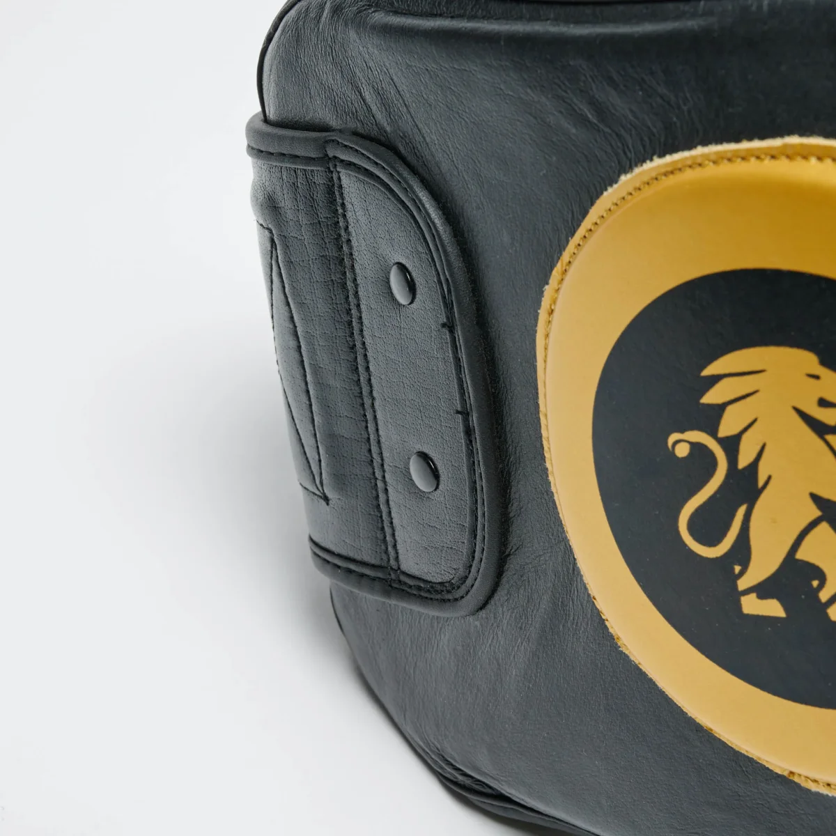 Cinturone da allenamento Leone 1947 Power Line GM440 - immagine 8