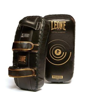 Coppia di pao Leone 1947 Power Line GM420