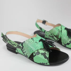 Alessia cocco verde - ultimo 46