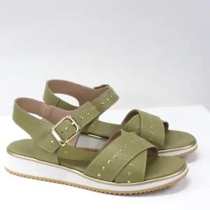 Sandalo Eliana salvia