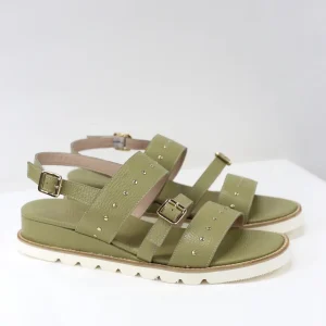 Sandalo Miranda salvia