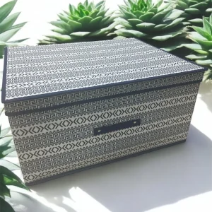 Organizer Salvaspazio