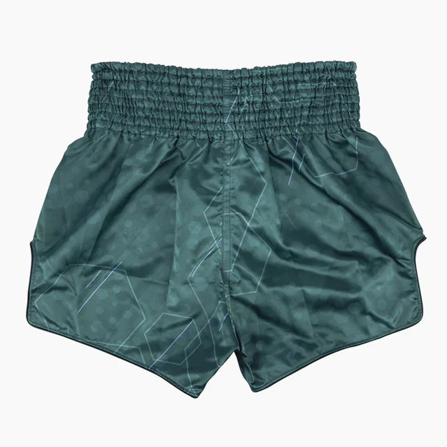 Pantaloncini kick-thai Fairtex BS1952 Jungle Hunter - immagine 3